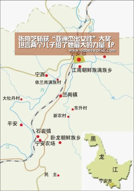张柏芝斩获“亚洲杰出女性”大奖 坦言两个儿子给了她最大的力量【PG试玩】(图3) PG中心