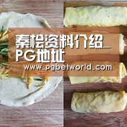 PG地址