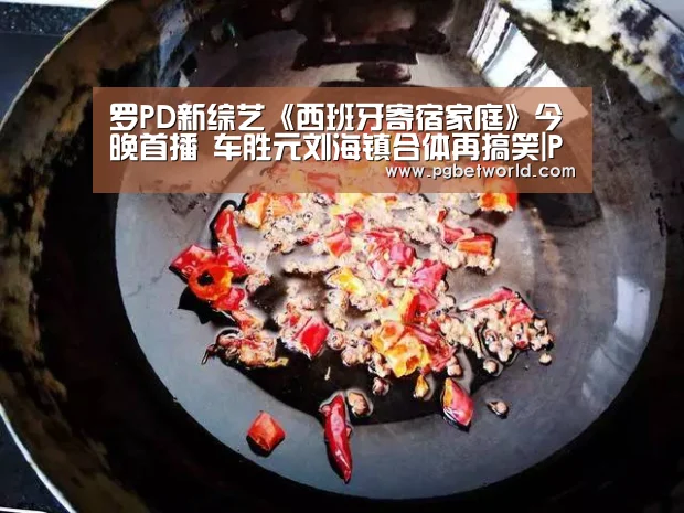 罗PD新综艺《西班牙寄宿家庭》今晚首播 车胜元刘海镇合体再搞笑|PG地址(图1) PG中国