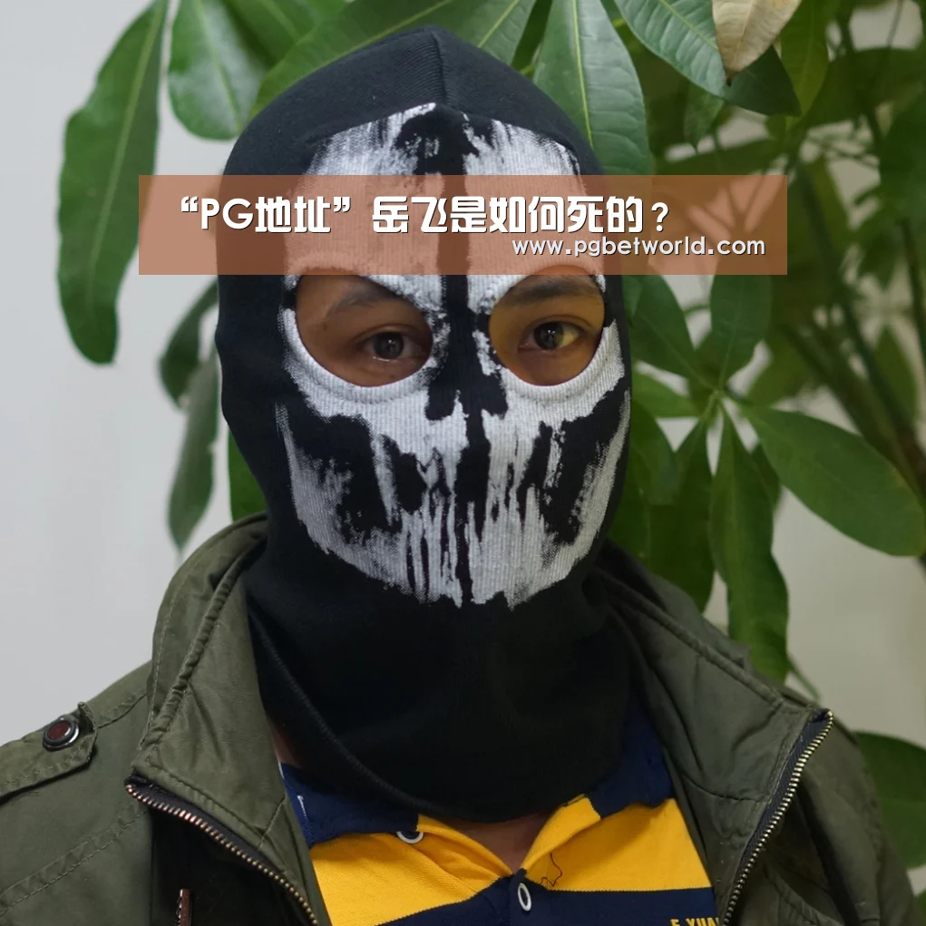 “PG地址”岳飞是如何死的?(图1) PG地址
